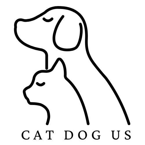 Cat Dog Us